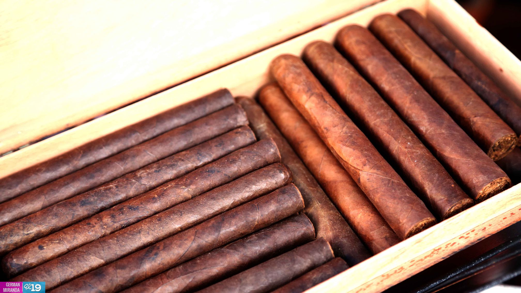 Inauguran feria regional de la Ruta del Café