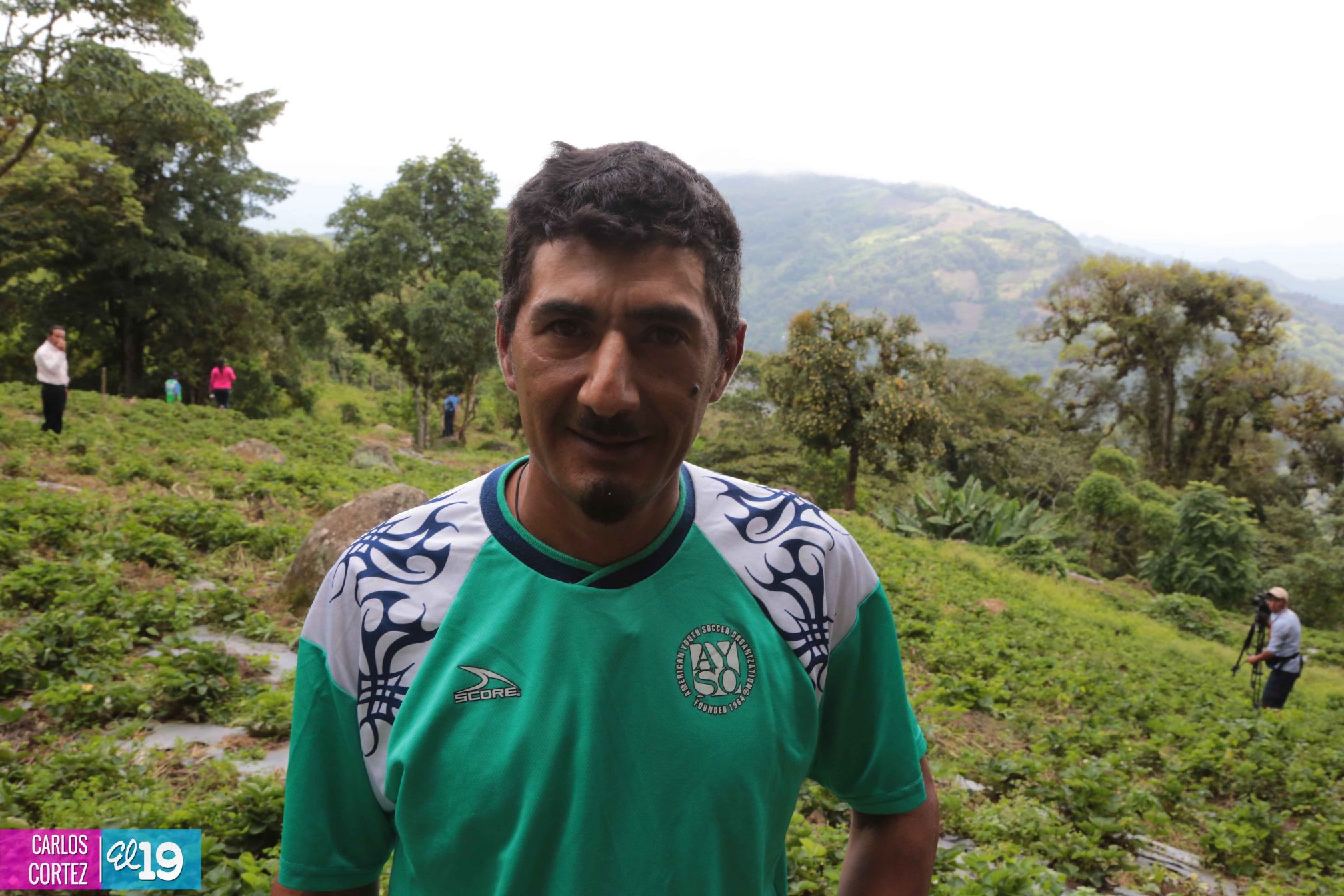 Las deliciosas fresas cultivadas en las montañas de Nicaragua