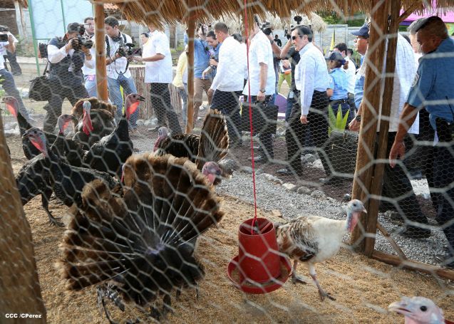Presidente Ma Ying–jeou recorre el Parque Nacional de Ferias
