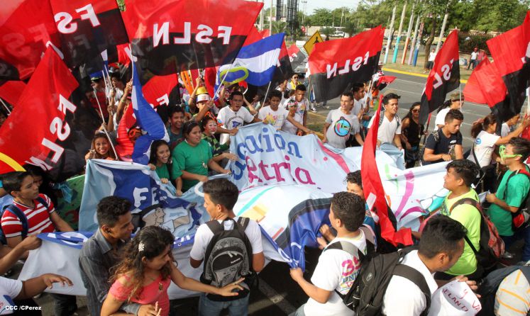 Juventud y Familias protagonizan Gran Caminata de la Alegría
