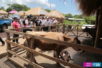 Primer Vicepresidente de Cuba y los Cinco héroes recorren Parque Nacional de Ferias