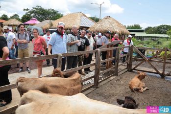Primer Vicepresidente de Cuba y los Cinco héroes recorren Parque Nacional de Ferias