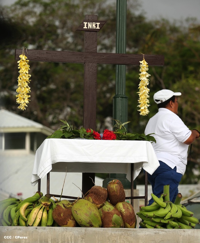 Via Crucis Acuático en Granada 2013