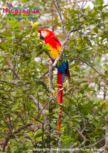 Orgullo de mi País...! Nuevo Material Promocional