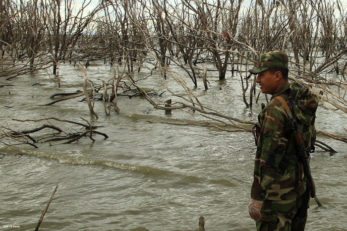 Prosigue búsqueda de militares fallecidos en accidente aéreo