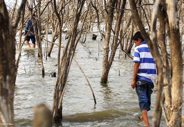Prosigue búsqueda de militares fallecidos en accidente aéreo