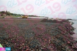 Gobierno potencia Mipymes de Ometepe con la construcción de tres importantes infraestructuras turísticas