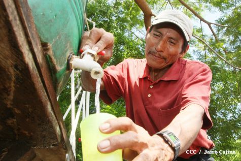 Gobierno constata condiciones precarias e investiga a secta religiosa concentrada en Chinandega