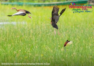 Orgullo de mi País: Chontales
