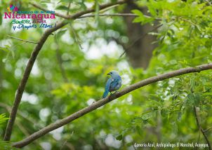 Orgullo de mi País: Chontales