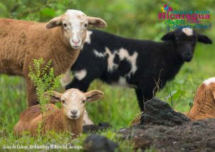 Orgullo de mi País: Chontales