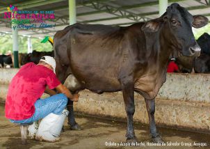 Orgullo de mi País: Chontales