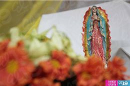 Productores y comerciantes presentan sus ofertas en Feria de las Flores