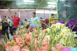 Productores y comerciantes presentan sus ofertas en Feria de las Flores