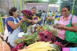 Productores y comerciantes presentan sus ofertas en Feria de las Flores