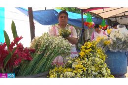 Familias asisten a Cementerio de Guadalupe en León este 1 de Noviembre