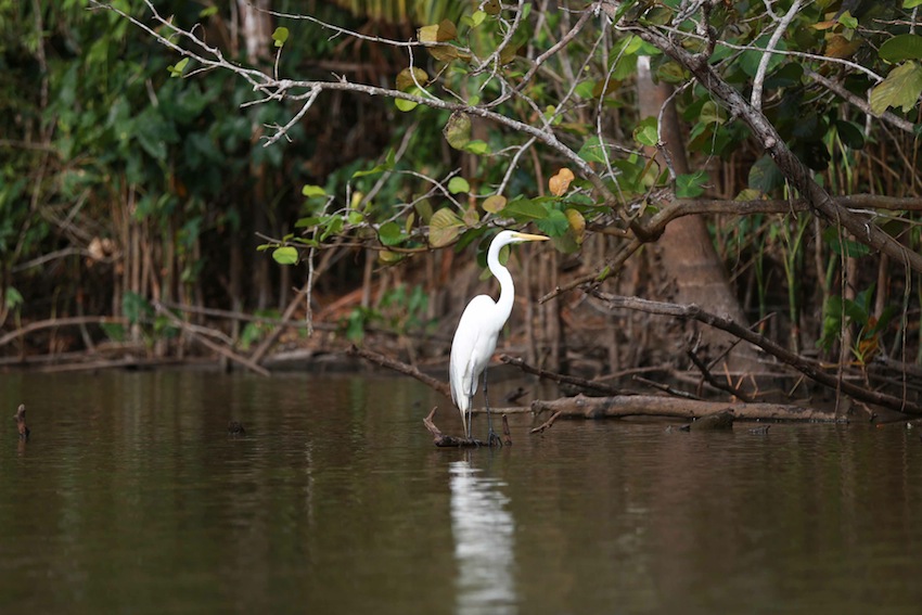 Río San Juan, destino virgen de Nicaragua