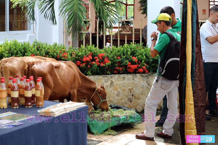 Congreso Internacional Desaf&iacute;os y Oportunidades de la Ganader&iacute;a para el Aumento de la productividad