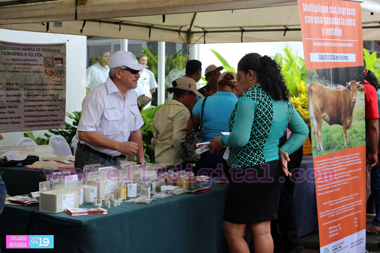 Congreso Internacional Desaf&iacute;os y Oportunidades de la Ganader&iacute;a para el Aumento de la productividad