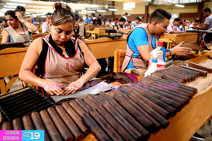 Inversiones en Estel&iacute;