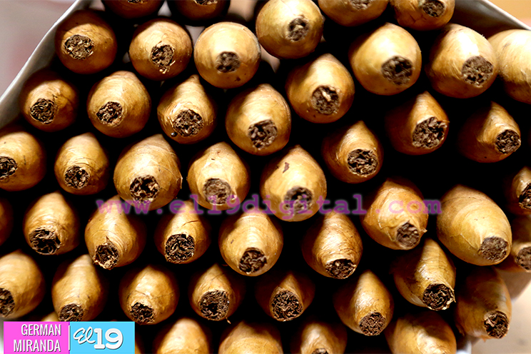 Inversiones en Estel&iacute;