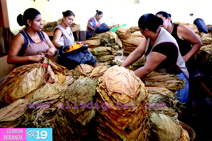 Inversiones en Estel&iacute;