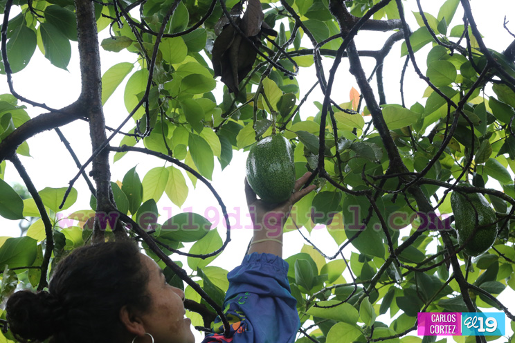 Peque&ntilde;os productores de granos b&aacute;sicos positivos con inicio normal del invierno