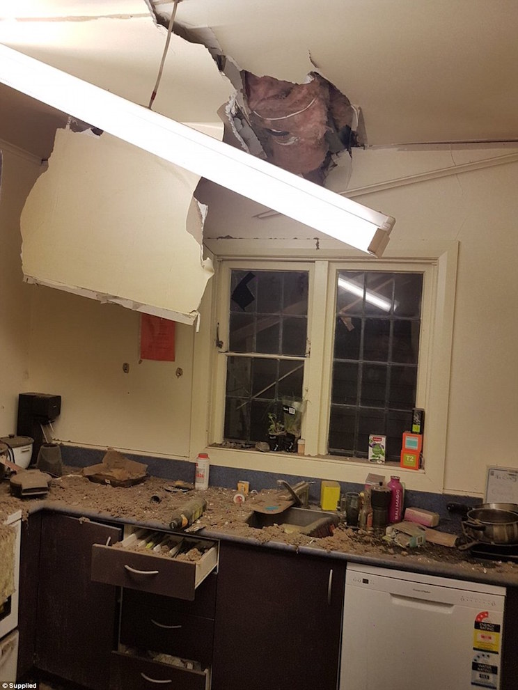 Terremoto Nueva Zelanda