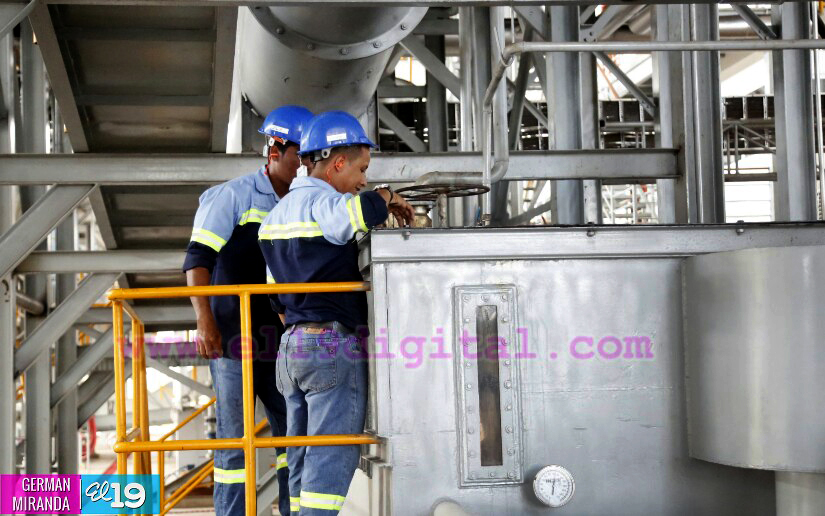 Industria Palma Africana en Nicaragua