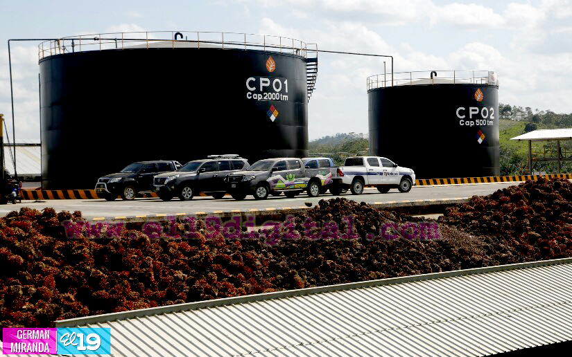 Industria Palma Africana en Nicaragua