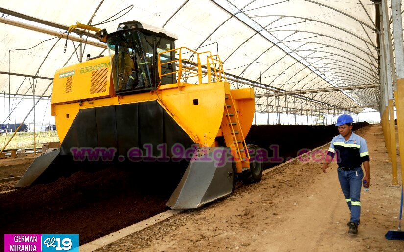 Industria Palma Africana en Nicaragua