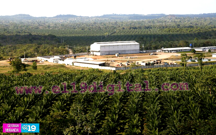 Industria Palma Africana en Nicaragua