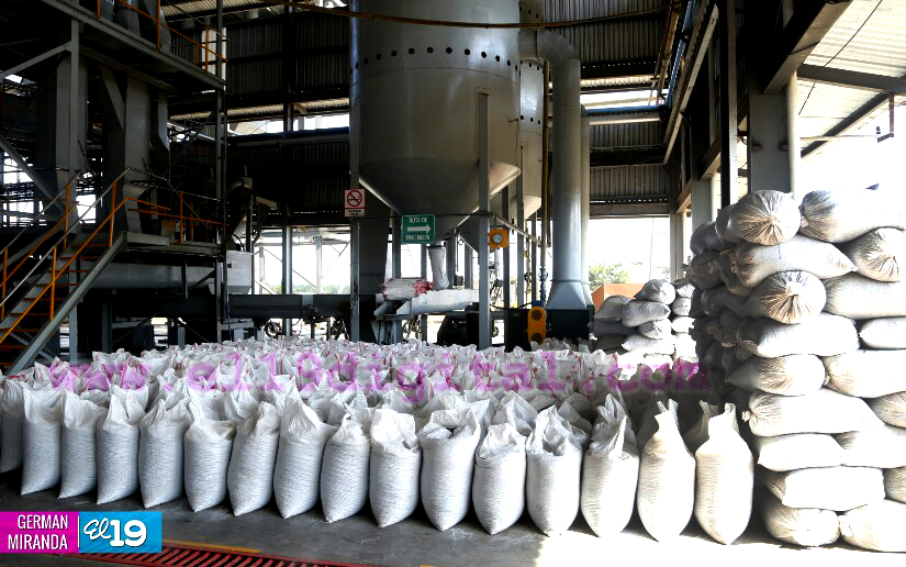 Industria Palma Africana en Nicaragua