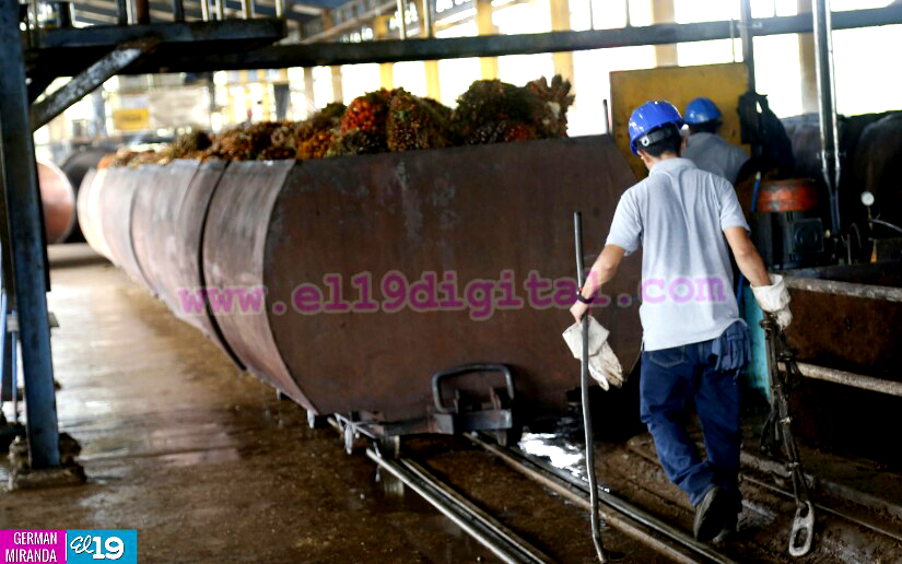 Industria Palma Africana en Nicaragua