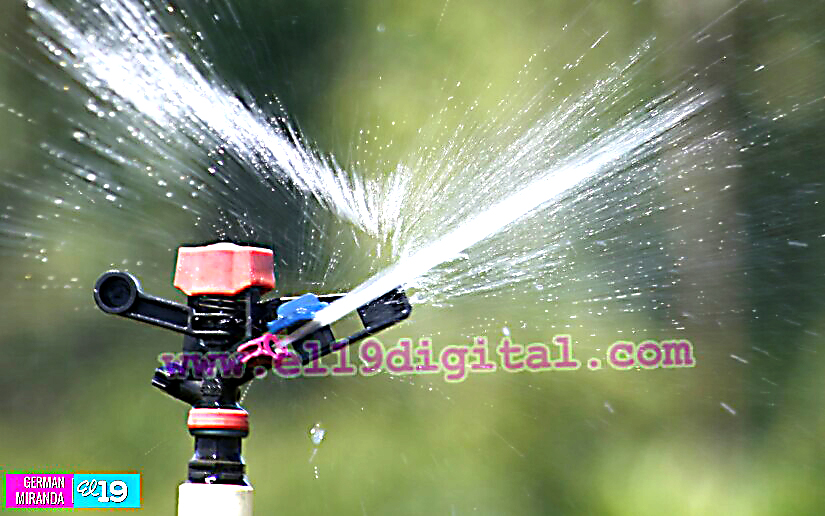 Industria Palma Africana en Nicaragua