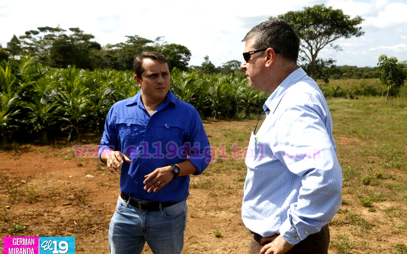 Industria Palma Africana en Nicaragua