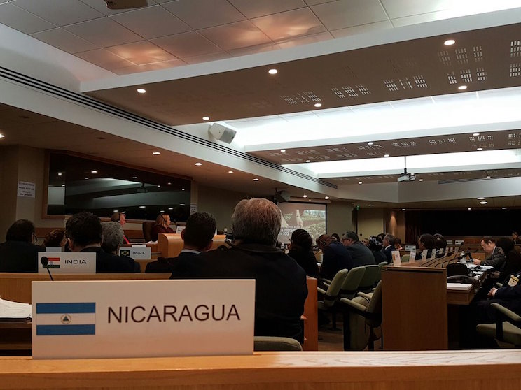 Organizaci&oacute;n Internacional del Caf&eacute;