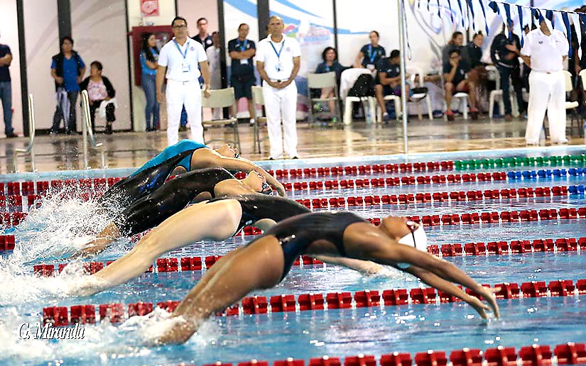 natacion