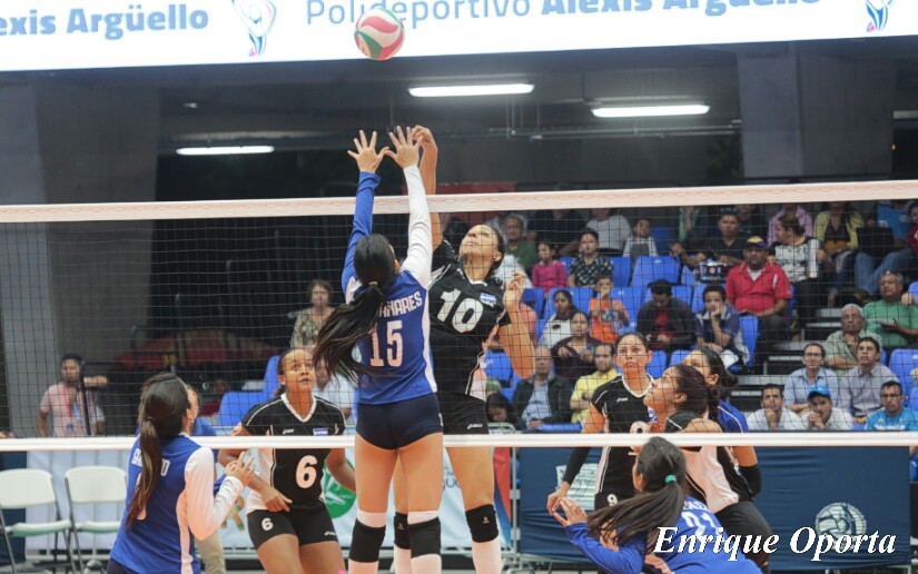 voleibol