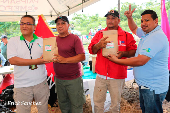 arroz-mejorado-nicaragua-cooperacion-taiwan