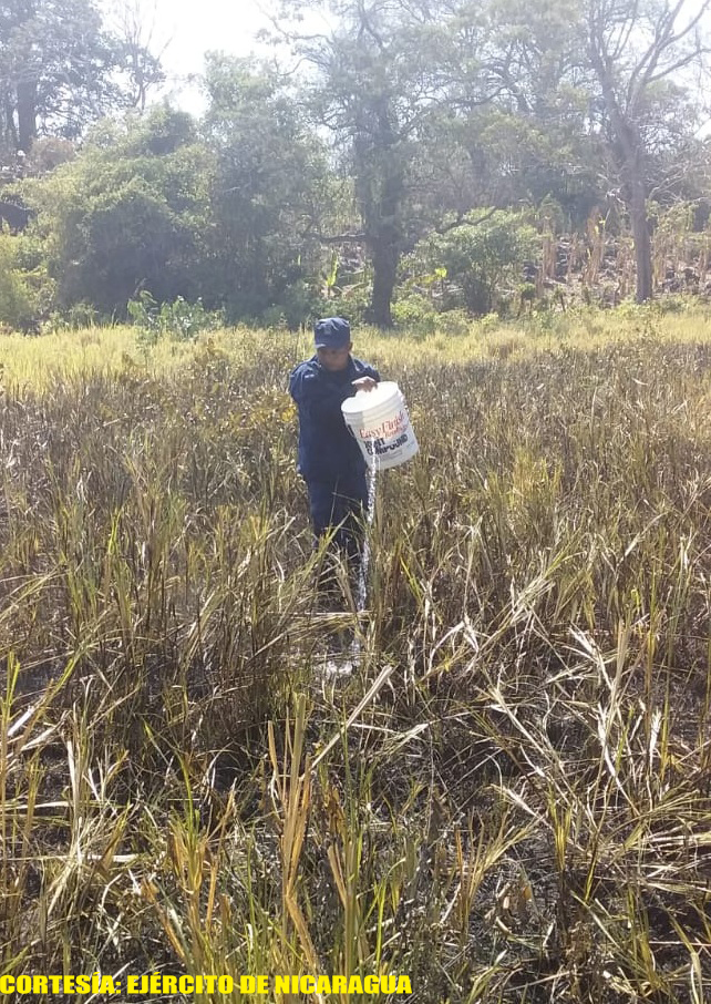 ejercito-sofoca-incendio