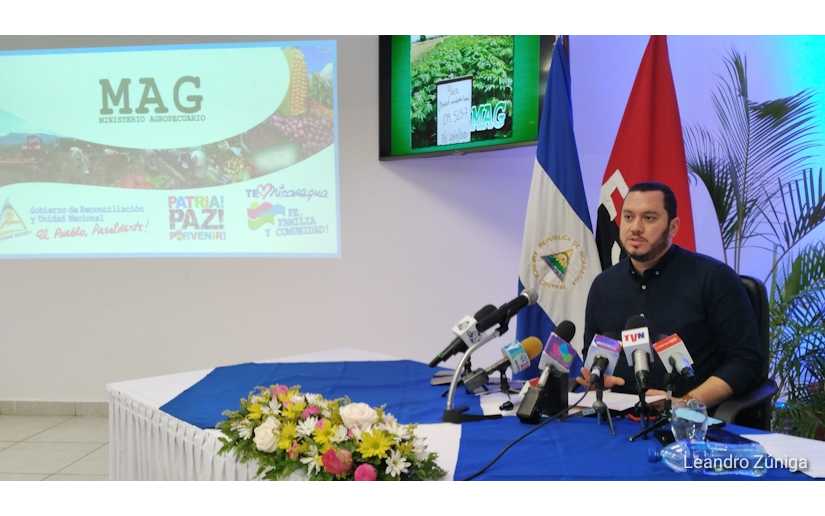 mag-reporta-incremento-en-la-produccion-de-pollo-y-huevo-en-nicaragua