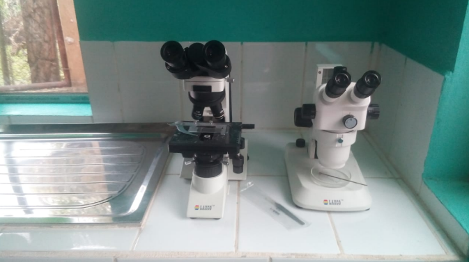 bilwi-hospital-entomologia