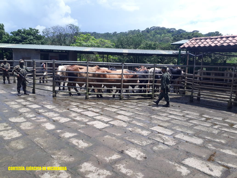 ejercito-semovientes