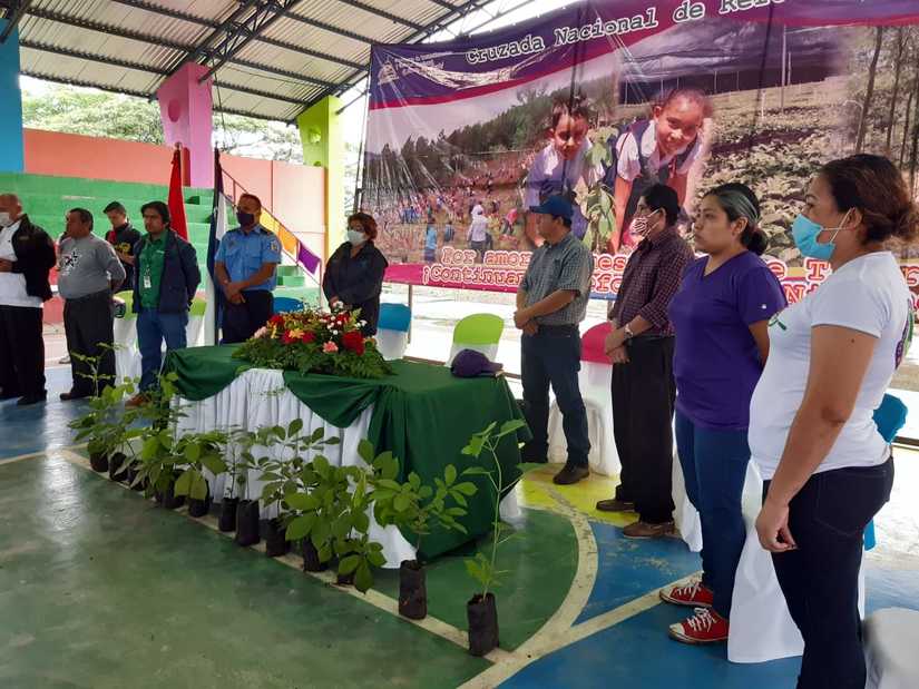 reforestacion-san-dionisio