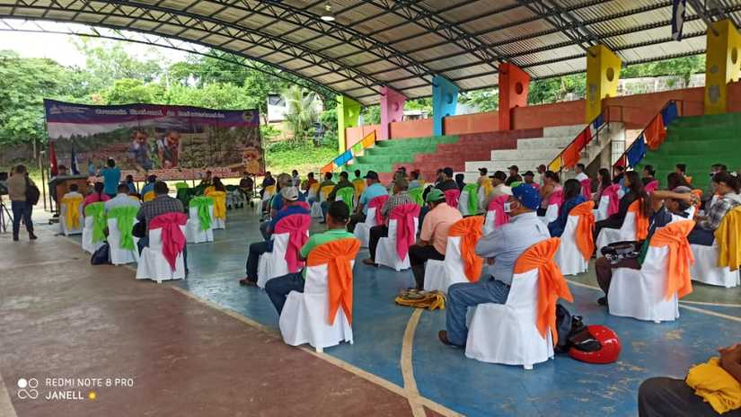 reforestacion-san-dionisio