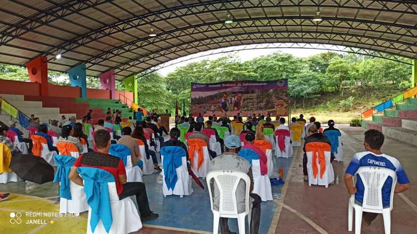 reforestacion-san-dionisio