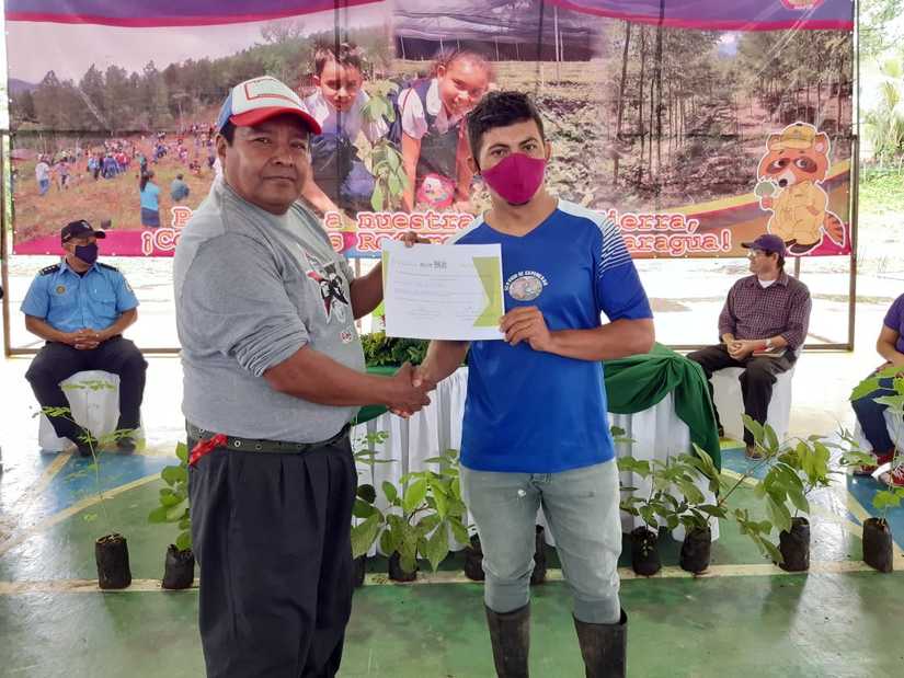 reforestacion-san-dionisio