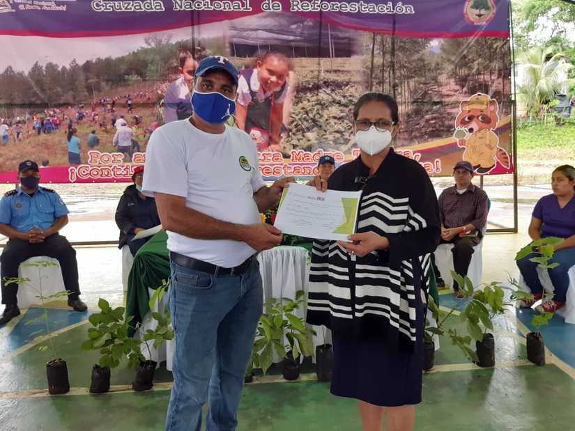 reforestacion-san-dionisio