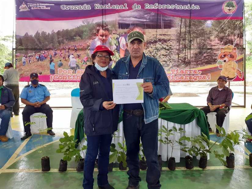 reforestacion-san-dionisio